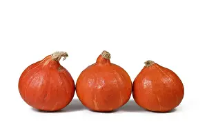 Organic Vegetable Prints: Three Red Kuri squashes