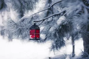 Deserted Snowy Landscape Prints: Red lantern on the snowy tree