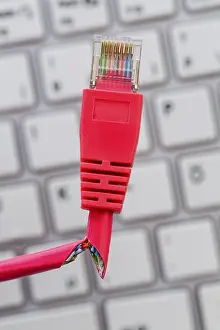 Digital Data Transmission Prints: A red network cable of a computer