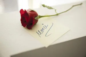 Prints of Red rose with a note 'Merci', Mannheim, Baden-Wurttemberg, Germany Red rose with a note 'Merci', Mannheim, Baden-Wrttemberg, Germany Mannheim Prints: Red Rose with Merci Note Print, Mannheim, Germany