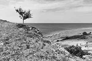 Baltic Sea Rocky Coast Prints: Reef limestone cliffs, coastline