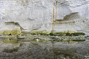 Steep Rocky Coast Europe Prints: Reflection of chalk cliffs at low tide on the beach