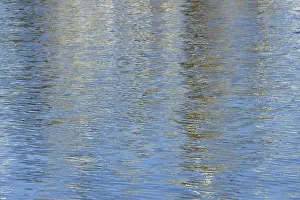 Lower Saxony Photography Prints: Reflection, colourful reflections on the water surface