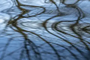 Ostersund Water Reflections Prints: Reflection in a stream, Ostersund
