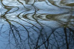 Scandinavian Cityscape Photography Prints: Reflection in a stream, Ostersund