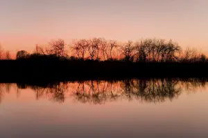 Tree Reflection Water Prints: Reflection of trees in a pond, against an evening sky