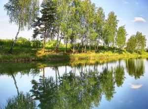 Deserted River Landscape Prints: Reflection of trees in the river