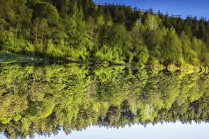 Deserted USA Landscapes Prints: Reflection of trees and sky in the water