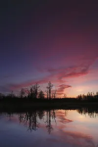 Central Europe River Course View Prints: Reflection of trees in the water