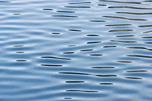 Reflections On Water Surface Prints: Reflections on a calm sea surface