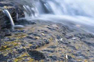 Lapland Sweden Landscape Prints: Reflections on a rock at a rushing stream