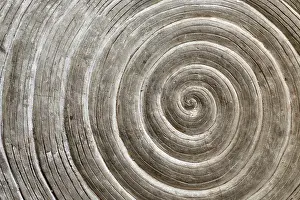 Embellished Interior Design Prints: Relief pattern on a stone in the form of a spiral