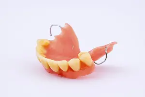 Dental Prosthesis Prints: Removable denture of an upper jaw
