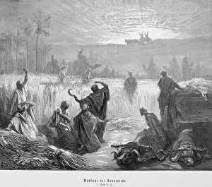 Ark Of The Covenant Prints: Return of the Ark of the Covenant