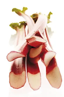Healthy Eating Vegetables Prints: Rhubarb