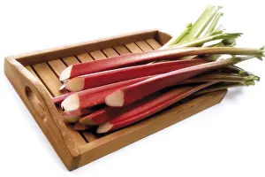 Vitamin C Rich Foods Prints: Rhubarb
