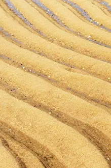 Deserted Beach Landscape Prints: Ribbed structure in sand, on the beach