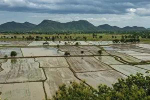 Southeast Asia Rice Cultivation Prints: Rice fields from the temple complex