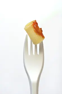 Plain Background Food Still Life Prints: Rigatoni, pasta on plastic fork