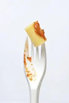 White Background Tableware Prints: Rigatoni, pasta on plastic fork