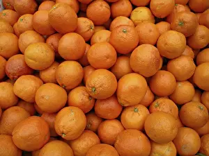 Agricultural Crops Prints: Ripe oranges