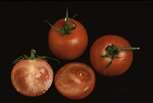 Organic Vegetable Sorts Prints: Ripe tomatoes
