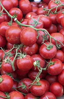 Framed Print : Ripe Tomatoes Print Framed Print : Ripe Tomatoes Print