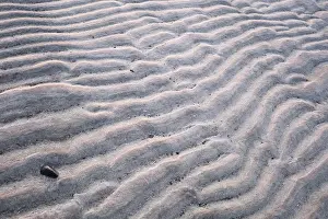Northern German Nature Reserve Prints: Ripple pattern in mudflats, Westerhever