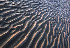 Northern Germany Landscape Prints: Ripple pattern in mudflats, Westerhever