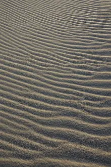 Deserted Sandy Landscape Prints: Ripples in sand, sand structure