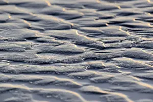 Germany Coastal Area Prints: Ripples, scale pattern in sand at low tide