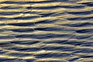 Intertidal Zone Photography Prints: Ripples, scale pattern in sand at low tide