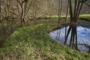 Southern Germany Spring Prints: River, Beaver dyke, Tree, Spring
