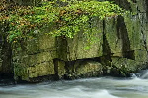 Uninhabited Mountain Stream Prints: River Bode in the autumnal Harz Mountains