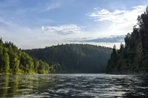 Mountain River Scenery Prints: A river among a coniferous forest