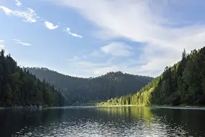 Mountain River Scenery Prints: A river among a coniferous forest