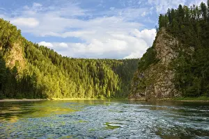 Mountain River Scenery Prints: A river among a coniferous forest