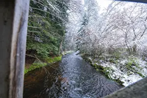 Black Forest Winter Scene Prints: River flowing through a wintry