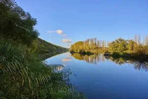 River Main Germany Prints: River, Main, Trees, Reflection