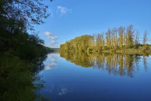 River Main Germany Prints: River, Main, Trees, Reflection