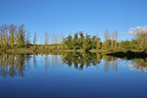 Autumn In Bavaria Prints: River, Main, Trees, Reflection