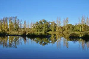 Uninhabited Riverbank Scene Prints: River, Main, Trees, Reflection