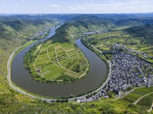 German Wine Growing Region Images Prints: A river meanders through a green