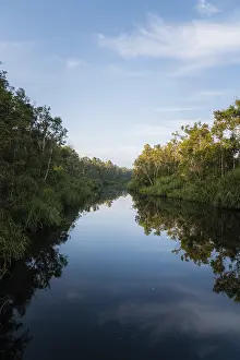 Tanjun Puting National Park Prints: River view, Tanjun Puting National Park