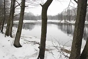 Deciduous Tree In Winter Prints: The river Winter landscape leafless trees