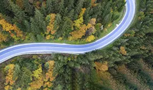 Nature Scenery From Above Prints: Road through the forest, top view