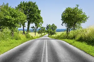 Deserted Highway Prints: Road and green tree