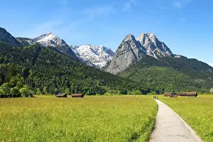 Wetterstein Mountain Range Prints: Road through meadows in spring