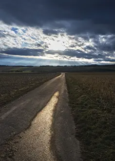 Evening Atmosphere Photography Prints: Road to the sunset