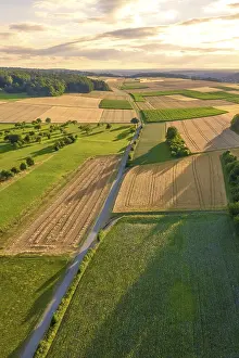 Evening Farmland Landscape Prints: Road surrounded by fields at sunset